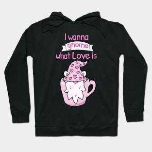 I wanna gnome what love is Hoodie